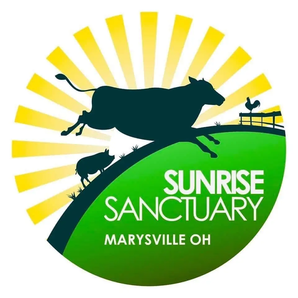 Sunrise Sanctuary