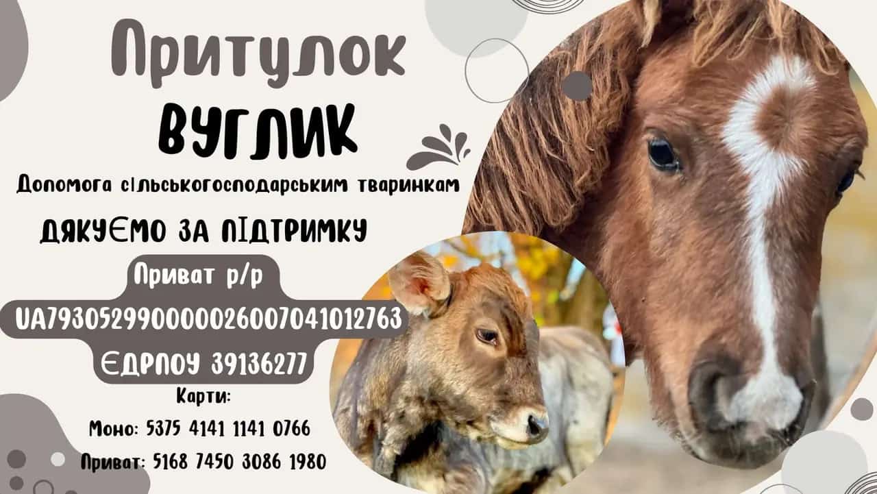 Shelter Ugolyok