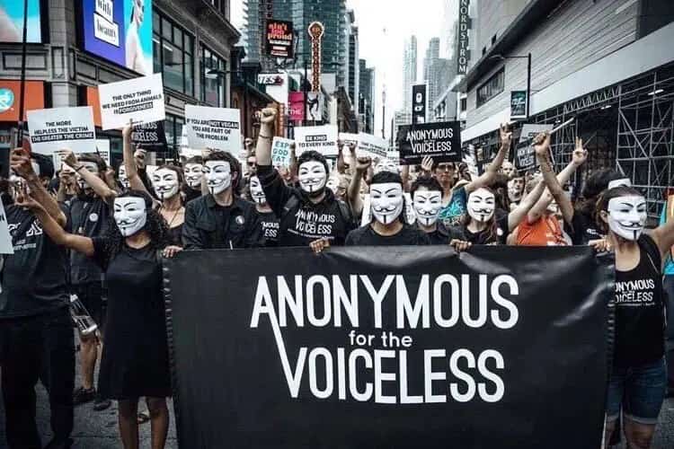 Anonymous for the Voiceless - Miami