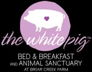The White Pig Bed and Breakfast & Animal Sanctuary