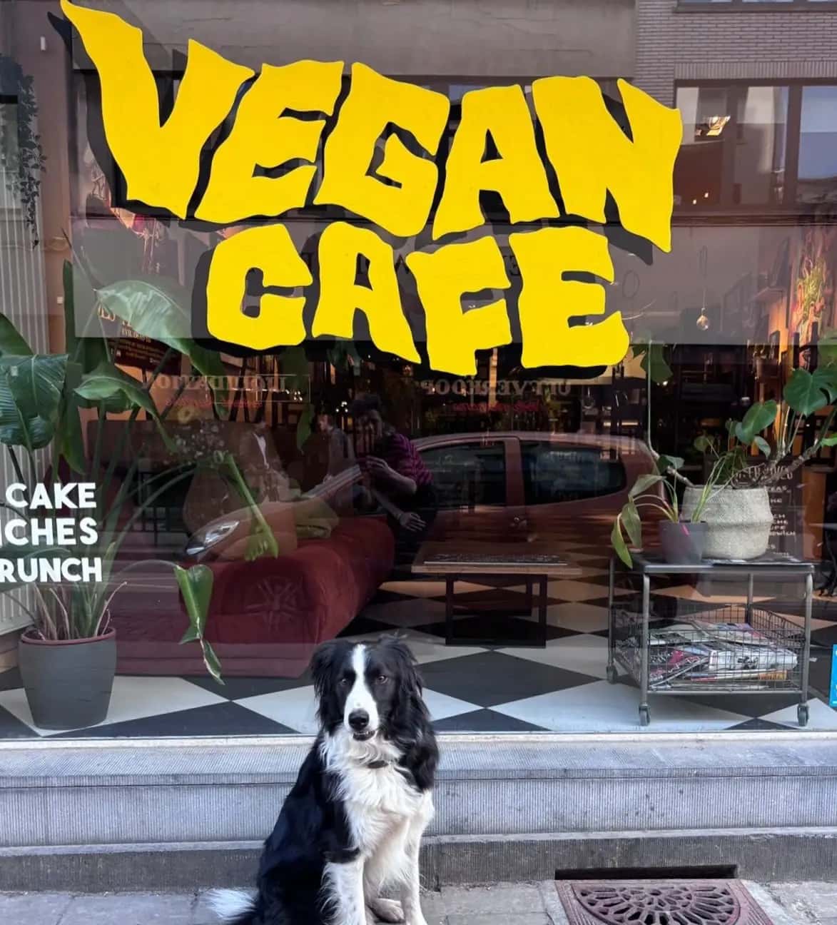 Lucifer Lives, fully vegan in Brussels